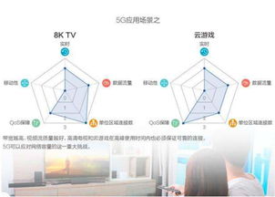 智士软件 北京软件开发领域的新锐力量