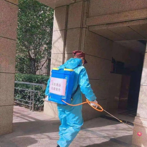 安全大过天 防寒防疫两不误 以“防疫健康包”为抓手，全力守护业主健康安全